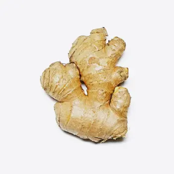 ginger (4)-4099952-68218.webp